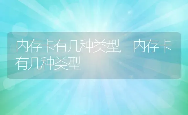 内存卡有几种类型,内存卡有几种类型 | 养殖科普