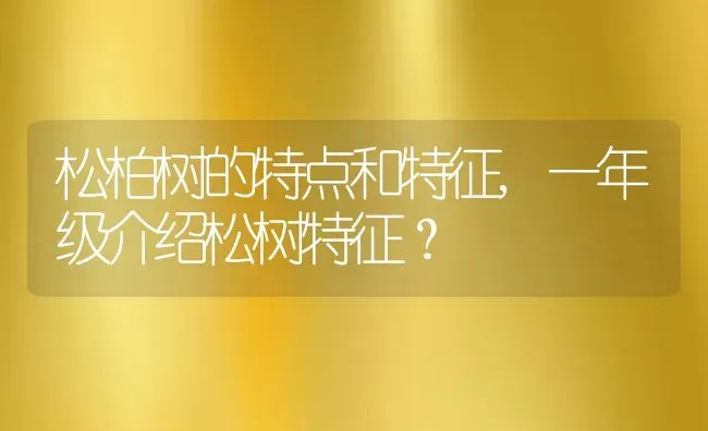 松柏树的特点和特征,一年级介绍松树特征？ | 养殖科普