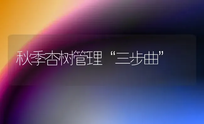 秋季杏树管理“三步曲” | 养殖技术大全