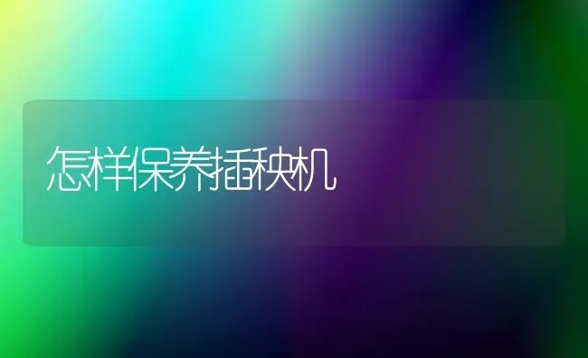 怎样保养插秧机 | 养殖知识