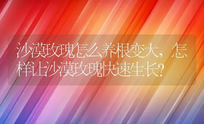 沙漠玫瑰怎么养根变大,怎样让沙漠玫瑰快速生长？ | 养殖科普