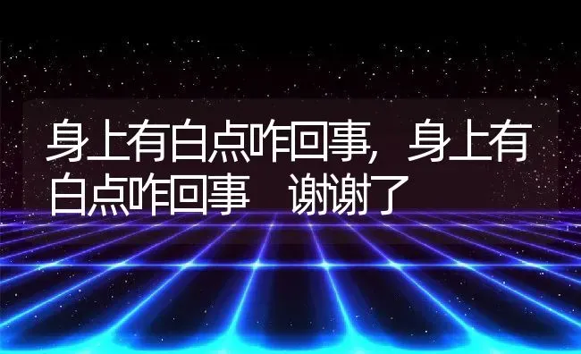 身上有白点咋回事,身上有白点咋回事 谢谢了 | 养殖资料