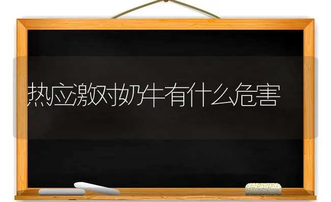 热应激对奶牛有什么危害 | 养殖技术大全