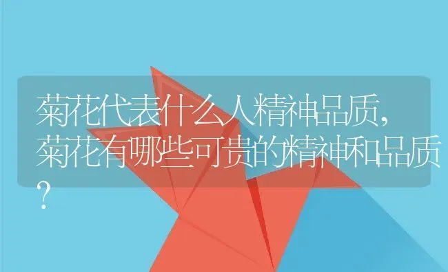 菊花代表什么人精神品质,菊花有哪些可贵的精神和品质？ | 养殖科普