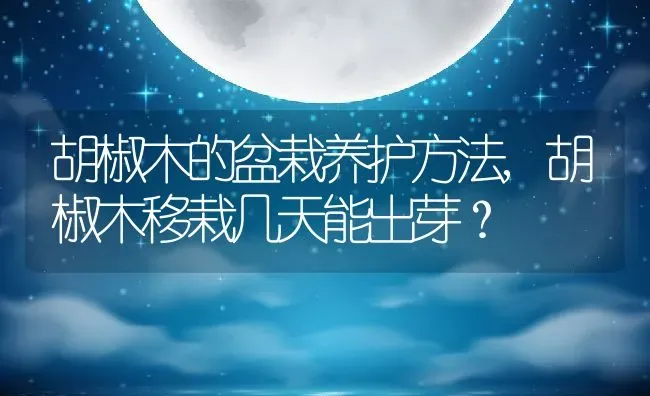 胡椒木的盆栽养护方法,胡椒木移栽几天能出芽？ | 养殖科普
