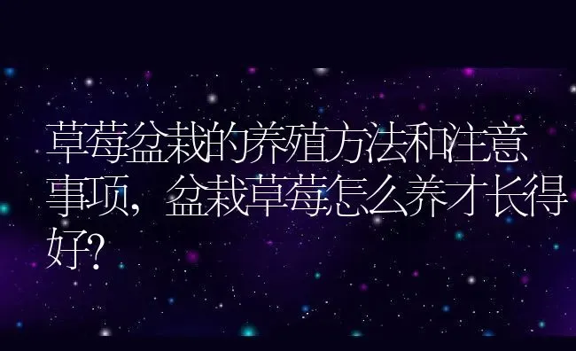 草莓盆栽的养殖方法和注意事项,盆栽草莓怎么养才长得好？ | 养殖科普