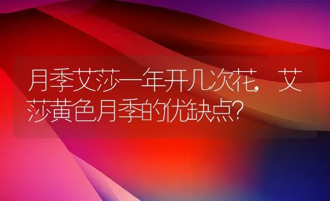 月季艾莎一年开几次花,艾莎黄色月季的优缺点？ | 养殖科普