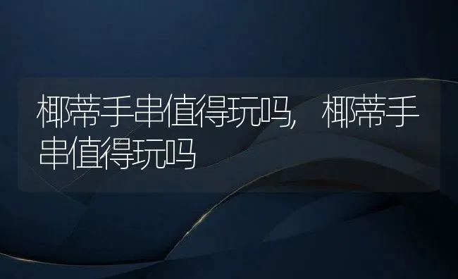 椰蒂手串值得玩吗,椰蒂手串值得玩吗 | 养殖科普