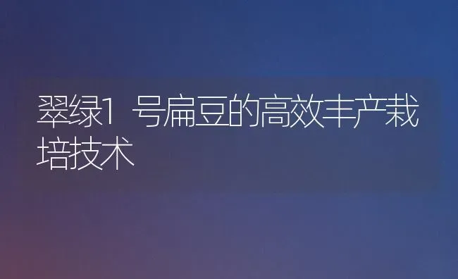 翠绿1号扁豆的高效丰产栽培技术 | 养殖技术大全