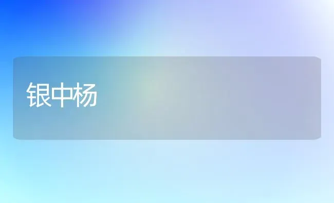 银中杨 | 养殖技术大全