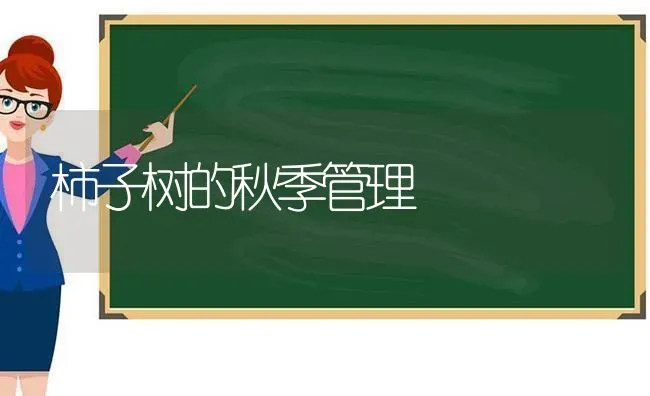柿子树的秋季管理 | 养殖技术大全
