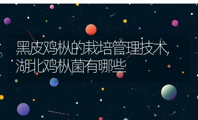 黑皮鸡枞的栽培管理技术,湖北鸡枞菌有哪些 | 养殖学堂