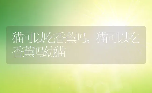 猫可以吃香蕉吗,猫可以吃香蕉吗幼猫 | 养殖科普