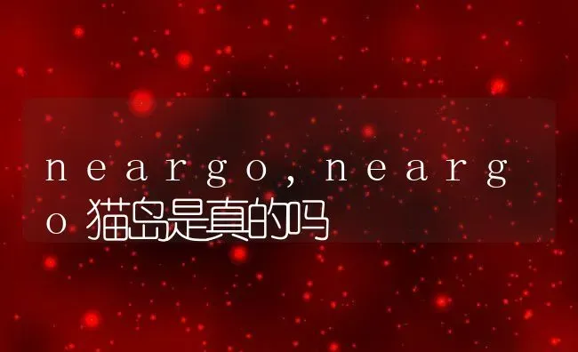 neargo,neargo猫岛是真的吗 | 养殖资料