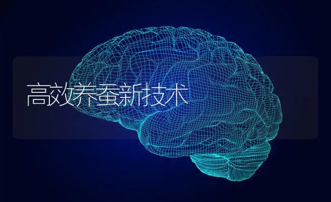 高效养蚕新技术 | 养殖技术大全