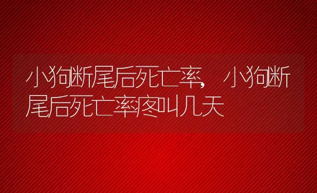 小狗断尾后死亡率,小狗断尾后死亡率疼叫几天 | 养殖资料