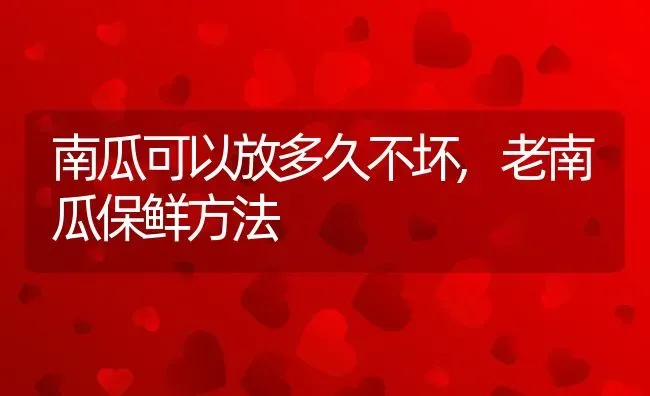 南瓜可以放多久不坏,老南瓜保鲜方法 | 养殖学堂