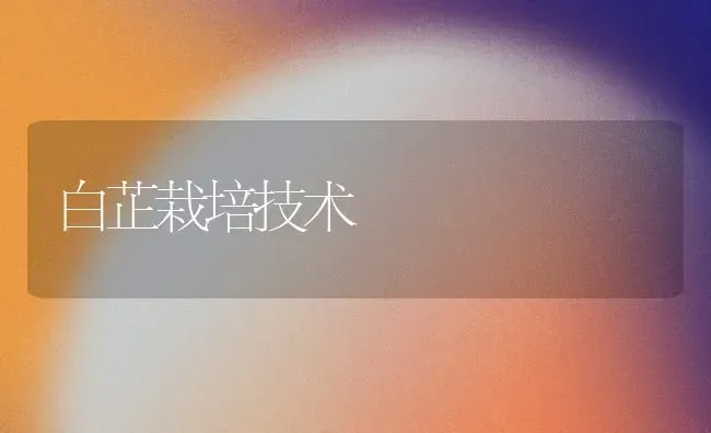 白芷栽培技术 | 养殖知识