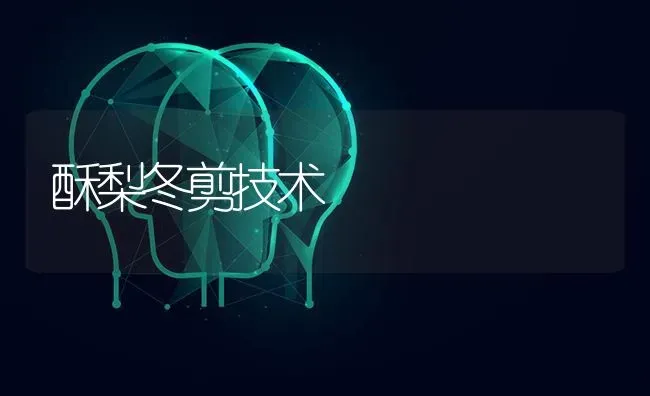 酥梨冬剪技术 | 养殖知识