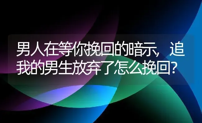 男人在等你挽回的暗示,追我的男生放弃了怎么挽回？ | 养殖科普