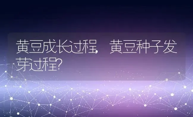 黄豆成长过程,黄豆种子发芽过程？ | 养殖科普