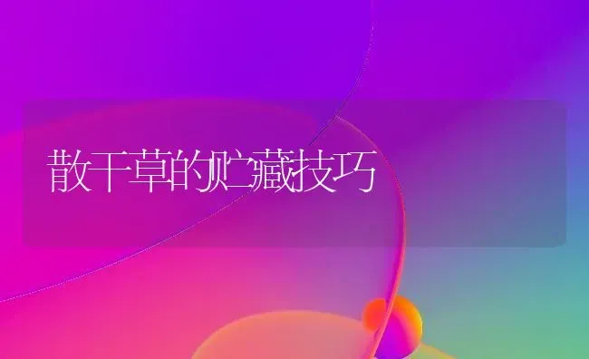 散干草的贮藏技巧 | 养殖知识