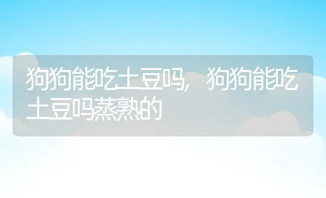 狗狗能吃土豆吗,狗狗能吃土豆吗蒸熟的 | 养殖科普