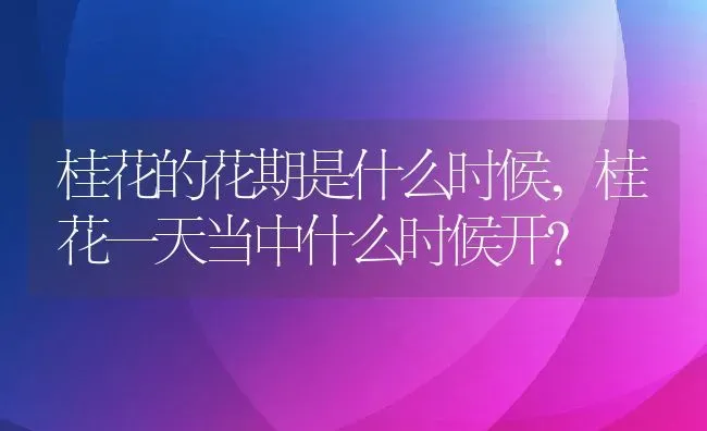 桂花的花期是什么时候,桂花一天当中什么时候开？ | 养殖科普