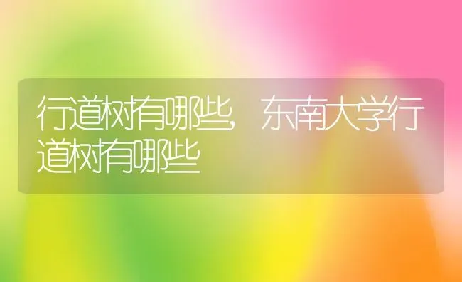 行道树有哪些,东南大学行道树有哪些 | 养殖学堂