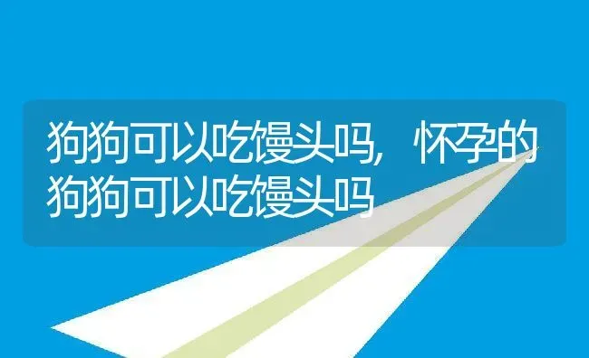 狗狗可以吃馒头吗,怀孕的狗狗可以吃馒头吗 | 养殖科普