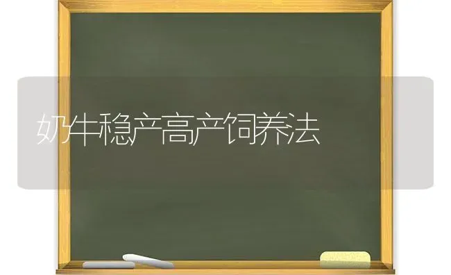 奶牛稳产高产饲养法 | 养殖知识