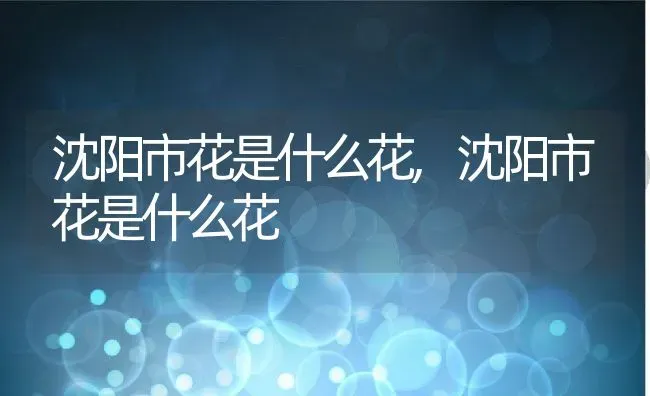 沈阳市花是什么花,沈阳市花是什么花 | 养殖科普