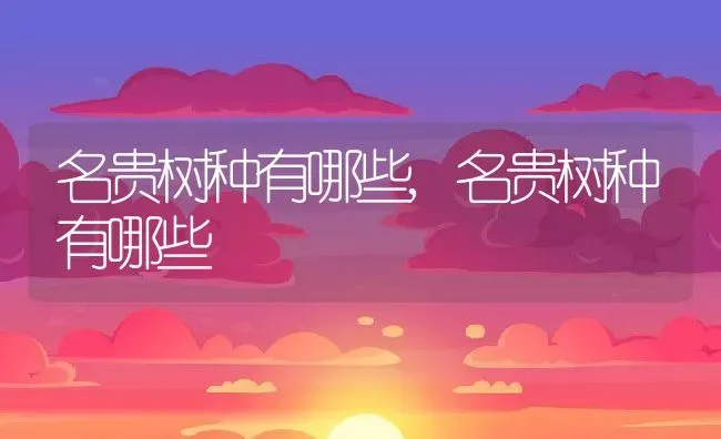 名贵树种有哪些,名贵树种有哪些 | 养殖科普