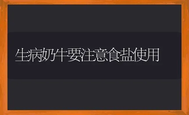 生病奶牛要注意食盐使用 | 养殖技术大全