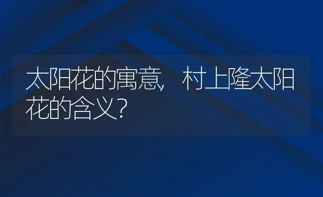 太阳花的寓意,村上隆太阳花的含义？ | 养殖科普