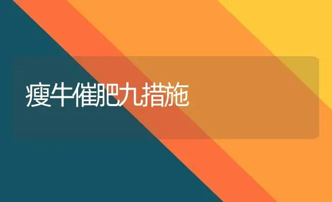 瘦牛催肥九措施 | 养殖技术大全