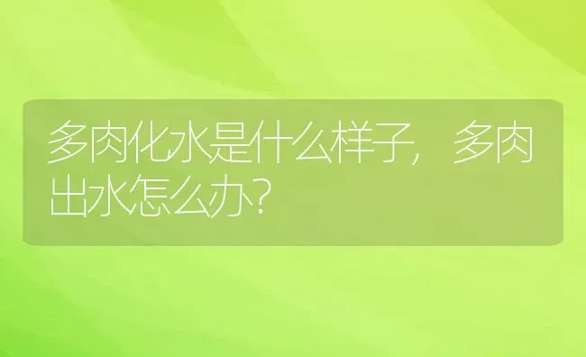 多肉化水是什么样子,多肉出水怎么办？ | 养殖科普