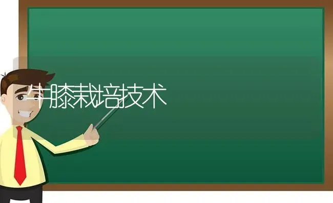 牛膝栽培技术 | 养殖知识