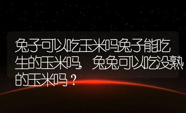 兔子可以吃玉米吗兔子能吃生的玉米吗,兔兔可以吃没熟的玉米吗？ | 养殖科普