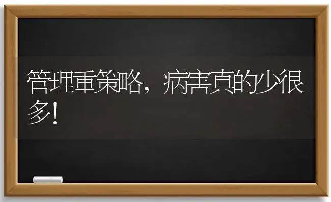 管理重策略,病害真的少很多！ | 养殖技术大全