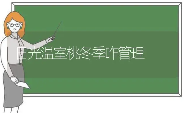 日光温室桃冬季咋管理 | 养殖技术大全