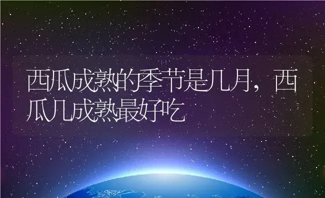 西瓜成熟的季节是几月,西瓜几成熟最好吃 | 养殖学堂