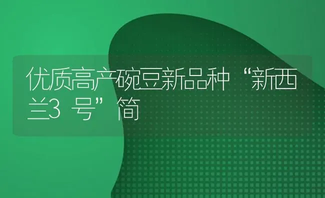 优质高产碗豆新品种“新西兰3号”简 | 养殖知识