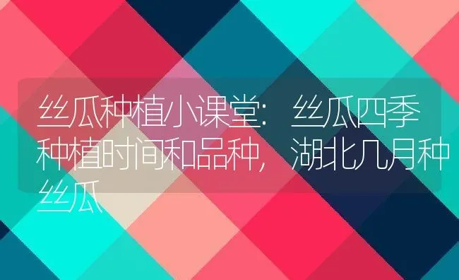 丝瓜种植小课堂:丝瓜四季种植时间和品种,湖北几月种丝瓜 | 养殖学堂