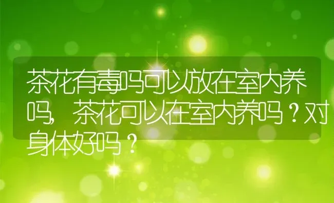 茶花有毒吗可以放在室内养吗,茶花可以在室内养吗？对身体好吗？ | 养殖科普