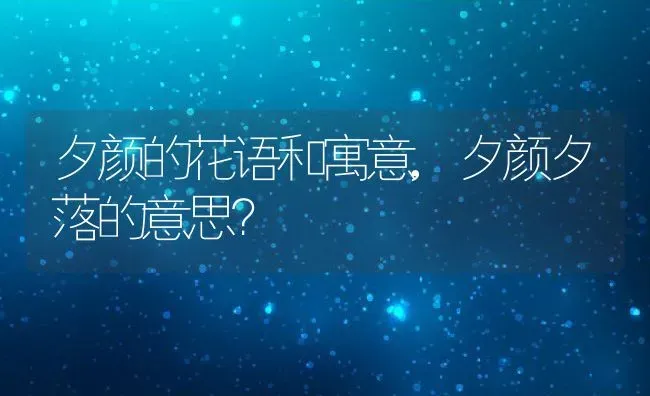 夕颜的花语和寓意,夕颜夕落的意思？ | 养殖科普