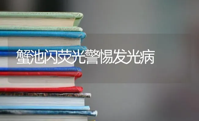 蟹池闪荧光警惕发光病 | 养殖知识