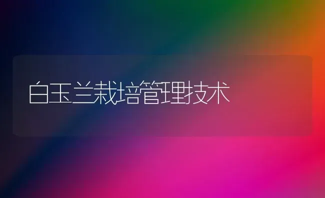 白玉兰栽培管理技术 | 养殖知识