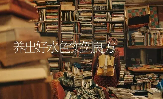 养出好水色实例良方 | 养殖技术大全