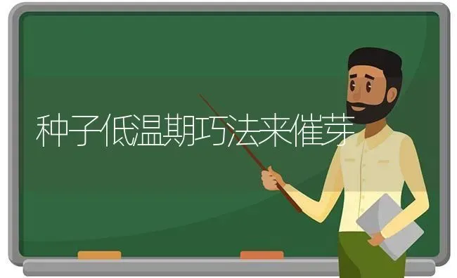 种子低温期巧法来催芽 | 养殖技术大全